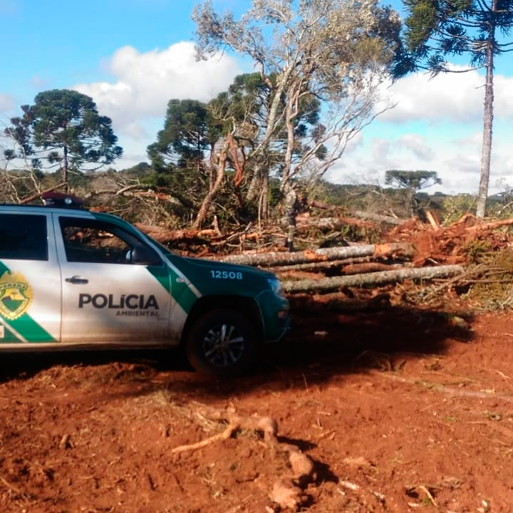 Polícia Ambiental